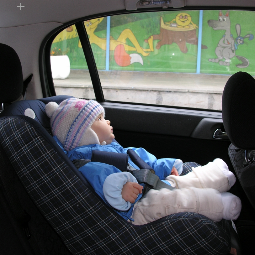 ��ũ(SEEC) ȸ���� ī��Ʈ(������)3